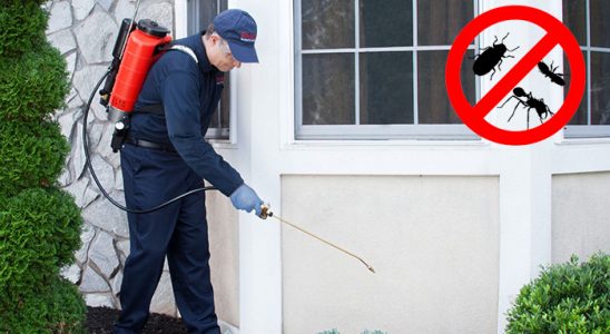 Karakoyunlu Karınca İlaçlama böcek ilaçlama ve haşere kontrolü — ilaclama-tr.com